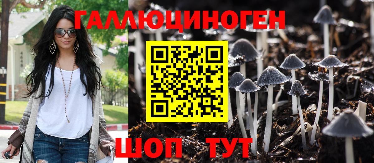 Псилоцибиновые грибы GOLDEN TEACHER Лабинск